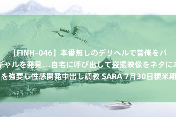 【FINH-046】本番無しのデリヘルで昔俺をバカにしていた同級生の巨乳ギャルを発見…自宅に呼び出して盗撮映像をネタに本番を強要し性感開発中出し調教 SARA 7月30日粳米期货收盘下落0.6%，报3460元