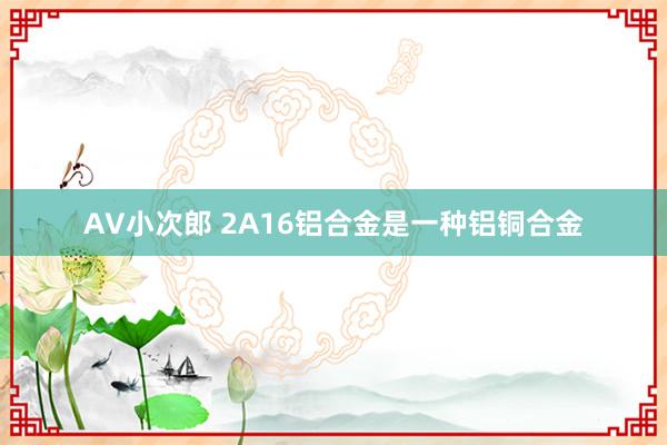 AV小次郎 2A16铝合金是一种铝铜合金