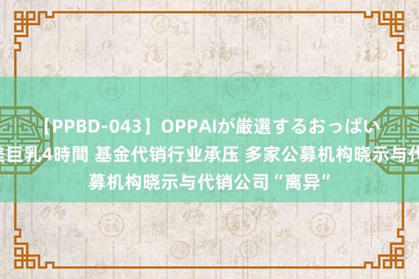 【PPBD-043】OPPAIが厳選するおっぱい 綺麗で敏感な美巨乳4時間 基金代销行业承压 多家公募机构晓示与代销公司“离异”