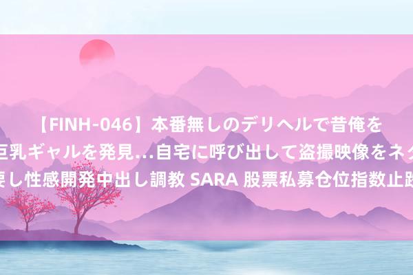 【FINH-046】本番無しのデリヘルで昔俺をバカにしていた同級生の巨乳ギャルを発見…自宅に呼び出して盗撮映像をネタに本番を強要し性感開発中出し調教 SARA 股票私募仓位指数止跌回升，百亿私募加仓力度创近42周新高