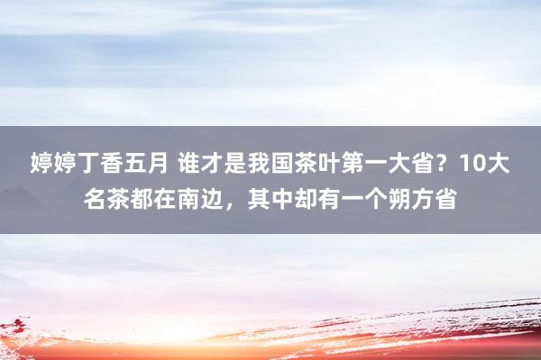 婷婷丁香五月 谁才是我国茶叶第一大省？10大名茶都在南边，其中却有一个朔方省