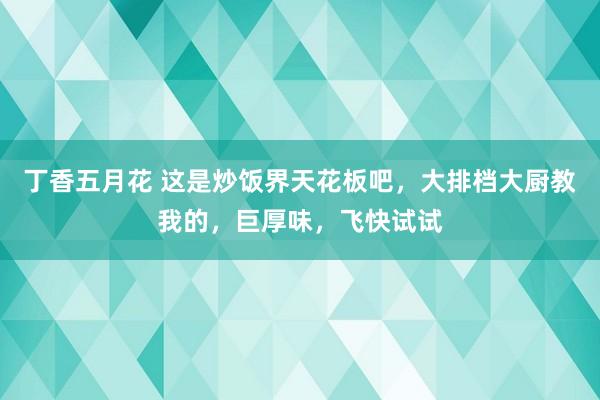 丁香五月花 这是炒饭界天花板吧，大排档大厨教我的，巨厚味，飞快试试