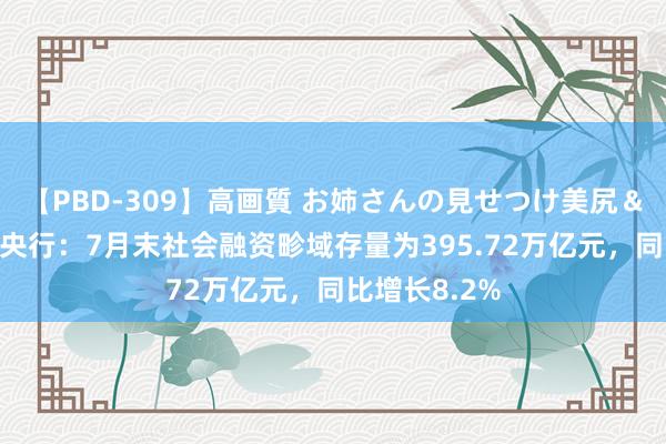 【PBD-309】高画質 お姉さんの見せつけ美尻＆美脚の誘惑 央行：7月末社会融资畛域存量为395.72万亿元，同比增长8.2%