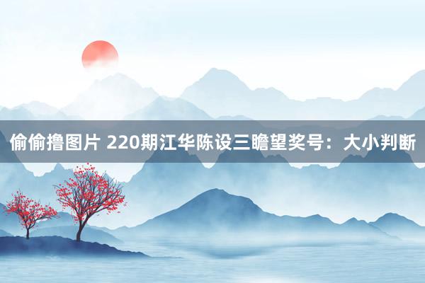 偷偷撸图片 220期江华陈设三瞻望奖号：大小判断