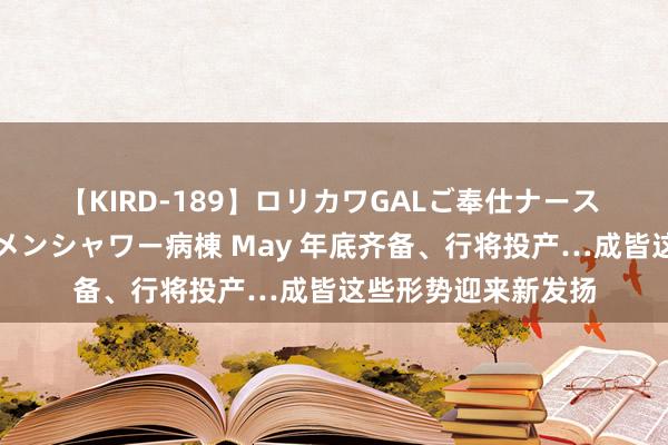 【KIRD-189】ロリカワGALご奉仕ナース 大量ぶっかけザーメンシャワー病棟 May 年底齐备、行将投产…成皆这些形势迎来新发扬