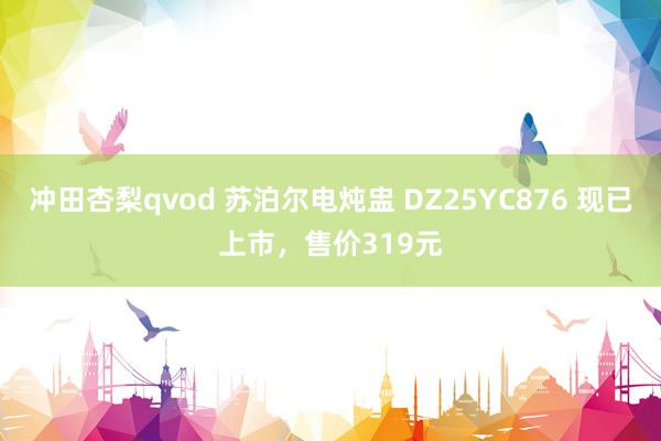 冲田杏梨qvod 苏泊尔电炖盅 DZ25YC876 现已上市，售价319元