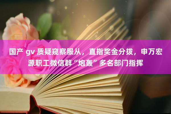 国产 gv 质疑窥察服从，直指奖金分拨，申万宏源职工微信群“炮轰”多名部门指挥