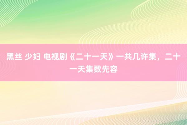 黑丝 少妇 电视剧《二十一天》一共几许集，二十一天集数先容