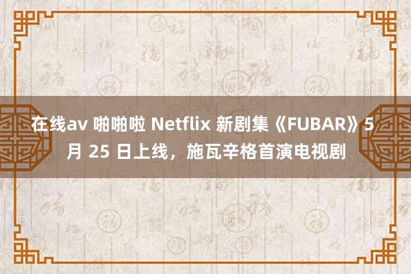 在线av 啪啪啦 Netflix 新剧集《FUBAR》5 月 25 日上线，施瓦辛格首演电视剧