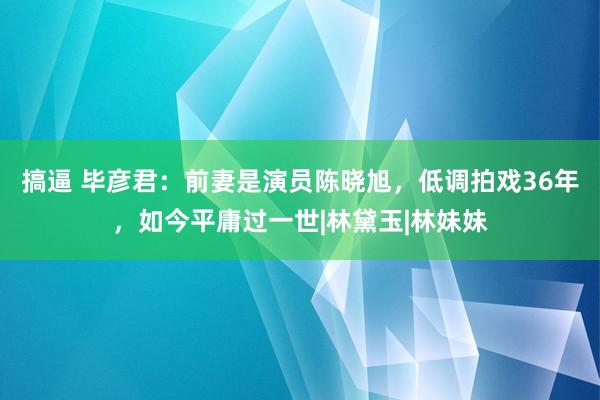 搞逼 毕彦君：前妻是演员陈晓旭，低调拍戏36年，如今平庸过一世|林黛玉|林妹妹