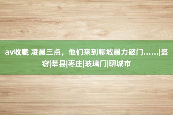 av收藏 凌晨三点，他们来到聊城暴力破门......|盗窃|莘县|枣庄|玻璃门|聊城市